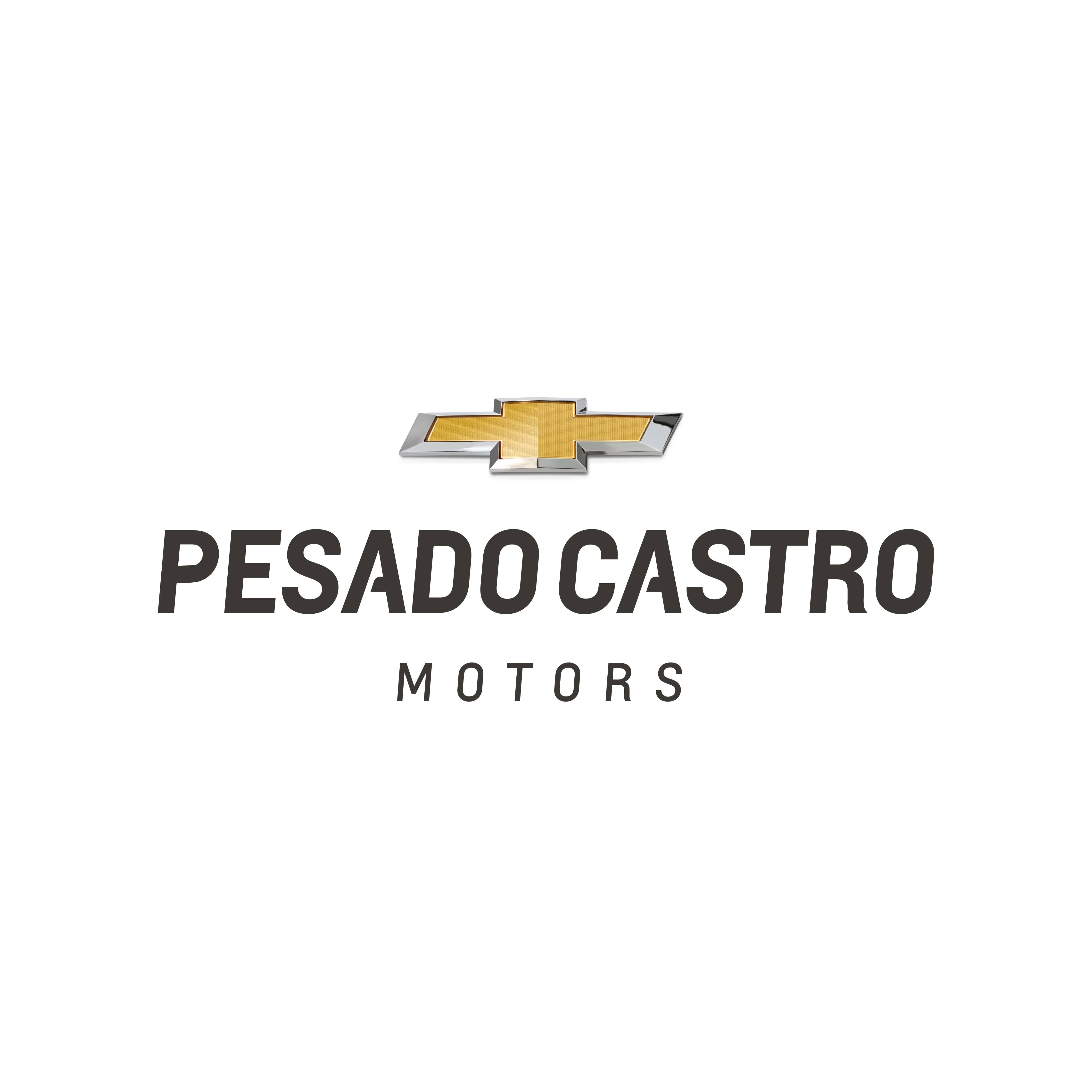 PESADO CASTRO MOTORS SA